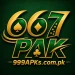 667PAK Game