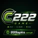C222 - Game